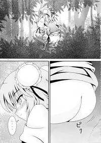 (C81) [Kyuushoku Dorobou (Murakumo)] Avenue 4 (Touhou Project)