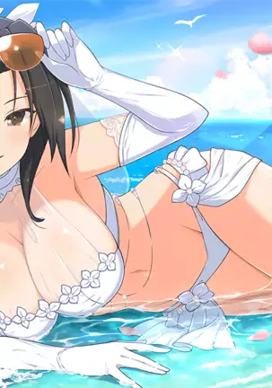 Master Ninja Senran Kagura NEW LINK