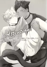 (HaruCC19) [Iro Rabbit (Arima)] Sawaru na Kiken Hatsujouki (Kuroko no Basuke)