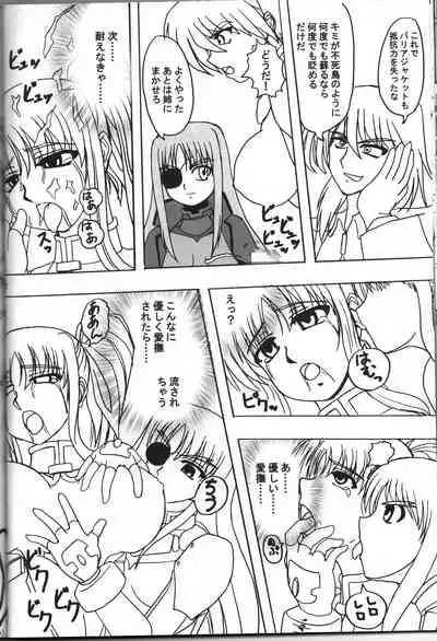 [Tekkyuu Chain (Kirimomi Shoot)] BREAK PHOENIX (Mahou Shoujo Lyrical Nanoha)