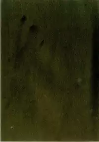 (C87) [Sekine (Sekine Hajime)] Elementario de Ikimashou! (Amagi Brilliant Park)