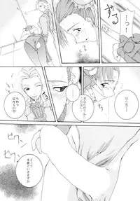 (C60) [F-A] Haru VS (Street Fighter)