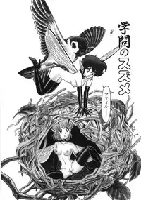 [Kondom] Bondage Fairies Zannin Shimai