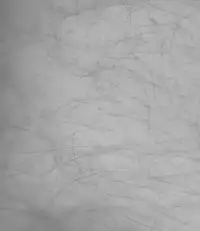 [ noa( noa)] Natsu no ma boroshi(Kuroko no Basuke))incomplete