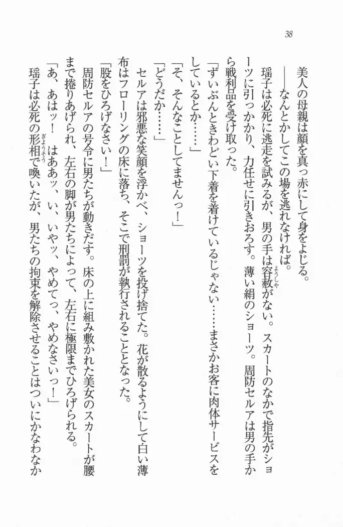 メイド喫茶 猫の隠れ家