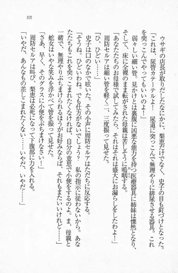 メイド喫茶 猫の隠れ家