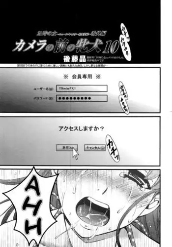 The Bitch in Front of the Camera 10 | Kamera no Mae no Mesu Inu 10