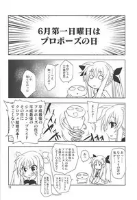 (Lyrical Magical 25) [PLUM (Kanna)] Magical SEED BRIDE (Mahou Shoujo Lyrical Nanoha)