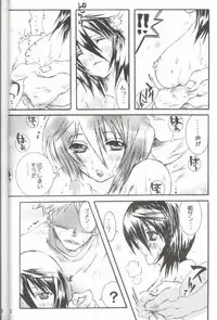 (C66) [PONCHEES (Kari) (Irohane Sui)] PIKA☆☆NCHI (Bleach)