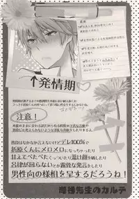 (HaruCC17) [Inevibot (Sakiko)] Osuki ni Shiyagare!!! (Durarara!!)