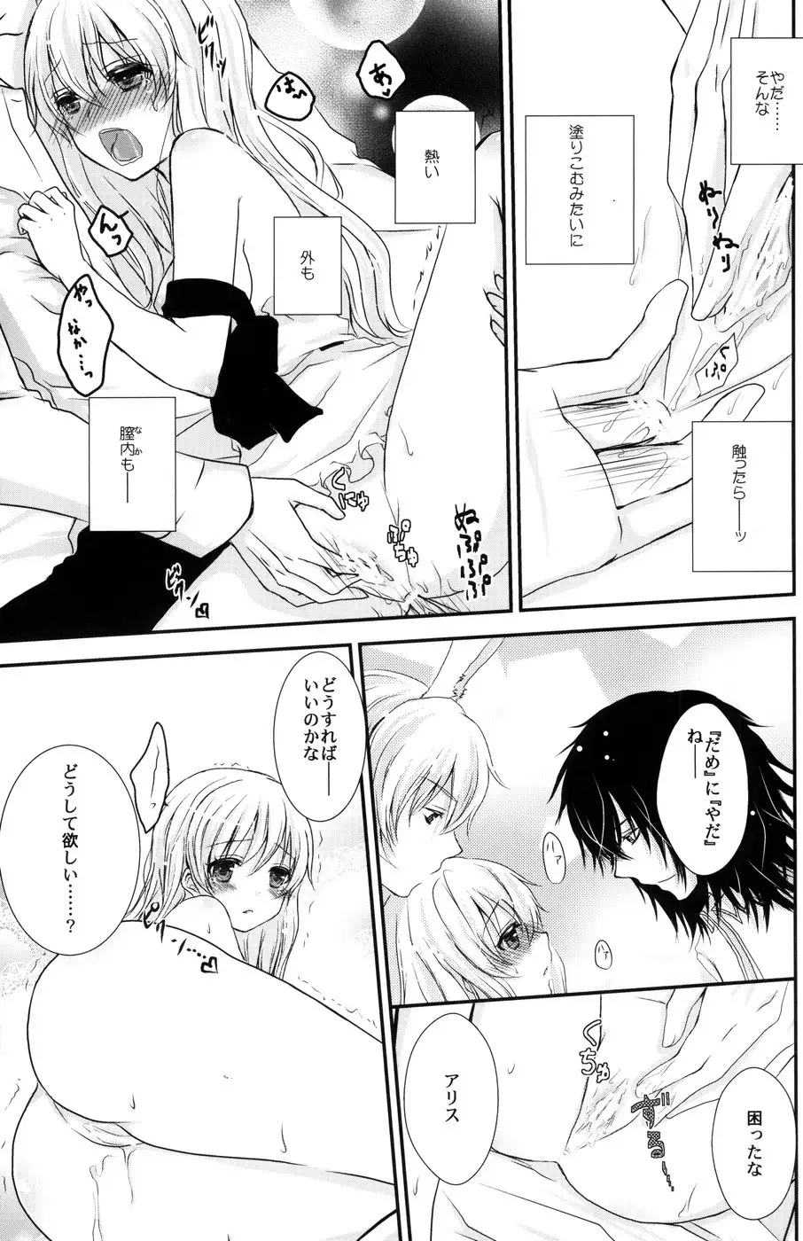 Boushiya x Alice x Sangatsu Usagi no Hon