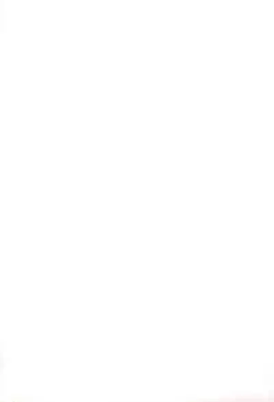 [Wild Coconuts (Sumi Ryuuichi)] Eiko Ganbaru! (Final Fantasy IX)