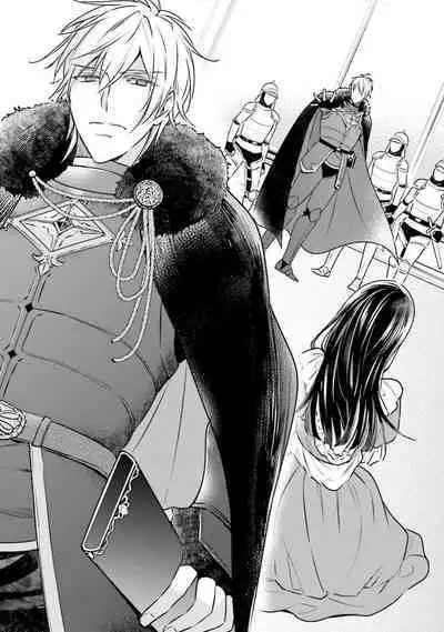 isekai de migawarihime ninari haou ni ubawaremashita ​| 在异世界成为了替身公主被霸王掳走了 1-12 end