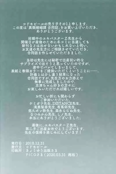 Irui Konintan Goudoushi