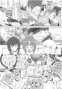 (C92) [SHIOHAMA (Hankotsu MAX)] ERIKA (Girls und Panzer)