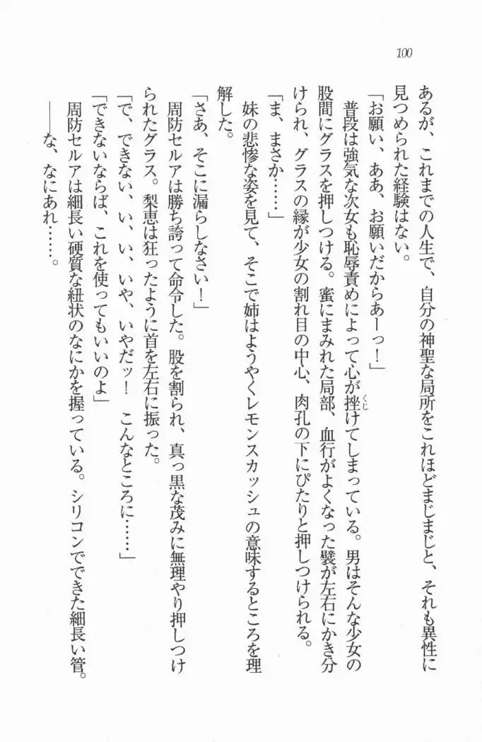 メイド喫茶 猫の隠れ家