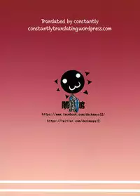 (C90) [San Se Fang (Darkmaya)] Sakeno Seiton (Fate/Grand Order) [English] [constantly]