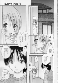 (C68) [Penguin San (Shinosaki Ariko)] CAPTIVE 3+4