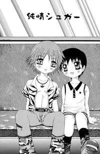 [Meguro Linu] Junjou Sugar