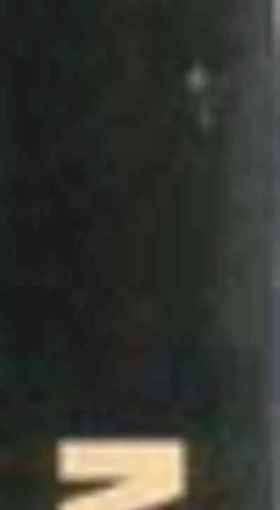 Shōjo Tsubaki | Mr. Arashi's Amazing Freak Show