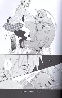 [Hakai Ryouiki (Yasuhara Yuki)] SUPER ordinary SEX (Fullmetal Alchemist)