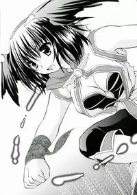 (C65) [Glassed Concrete (Narita Riuku)] Bakuretsu Hadou Monk-san (Ragnarok Online)