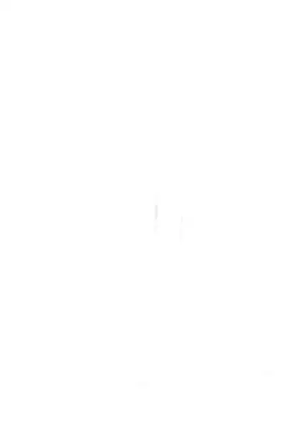 (C68) [Shiritsu Sakuranbo Shougakkou (Kumaki Todorokimaru, Misooden)] Natsuyasumi no Tebiki