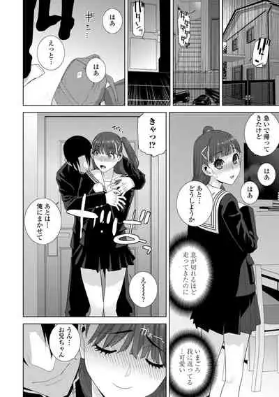 Hinnyuu Imouto o Kyonyuu ni Shite Yome ni Shite Mita