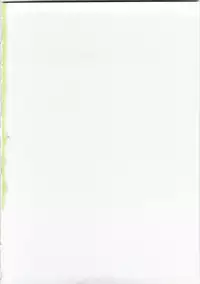 (C74) [Kebero Co., Ltd. (Various)] Shin Hanajuuryoku 17 (Macross Frontier)