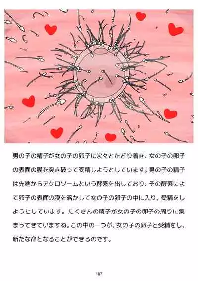 Sex Education for Adolescents Very Pleasant Pregnancy Sex Story