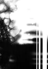 [7 Men Zippo (Kamishima Akira)] 7men_Re_PP2 (Psycho Pass)