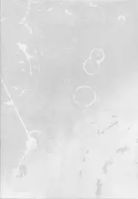 (C92) [Toumei Kousoku (Chika)] Doitsu Kuubo ni "Ku... Korose!" to Iwasetai (Kantai Collection -KanColle-)