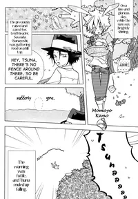 strawberry marshmallow katekyo hitman reborn doujinshi