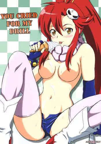 You Cried For My Drill