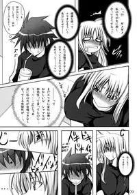 (C73) [SUTE☆POTE (Kagura Soushi)] riri tama hoshuu jugyou! (Mahou Shoujo Lyrical Nanoha)