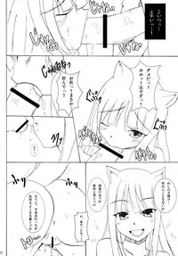 (COMIC1☆2) [Kou Kidou Shoujo (Fujisaki Sora)] Naked Spice (Spice and Wolf)