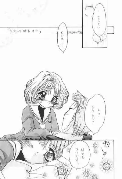 [Shinrin Ryokuju (Mint Green)] Rika-chan no Hon (Cardcaptor Sakura)