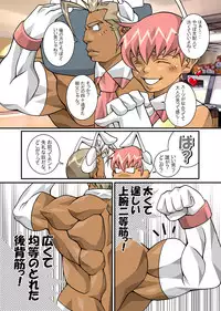 [Takayuki Hinata] Maskman Rabbithunting