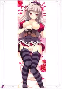 [Rabbit] habit net chronicles 2nd volume