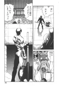 [Fujisaki Makoto] Dark Wirbel Konran-hen