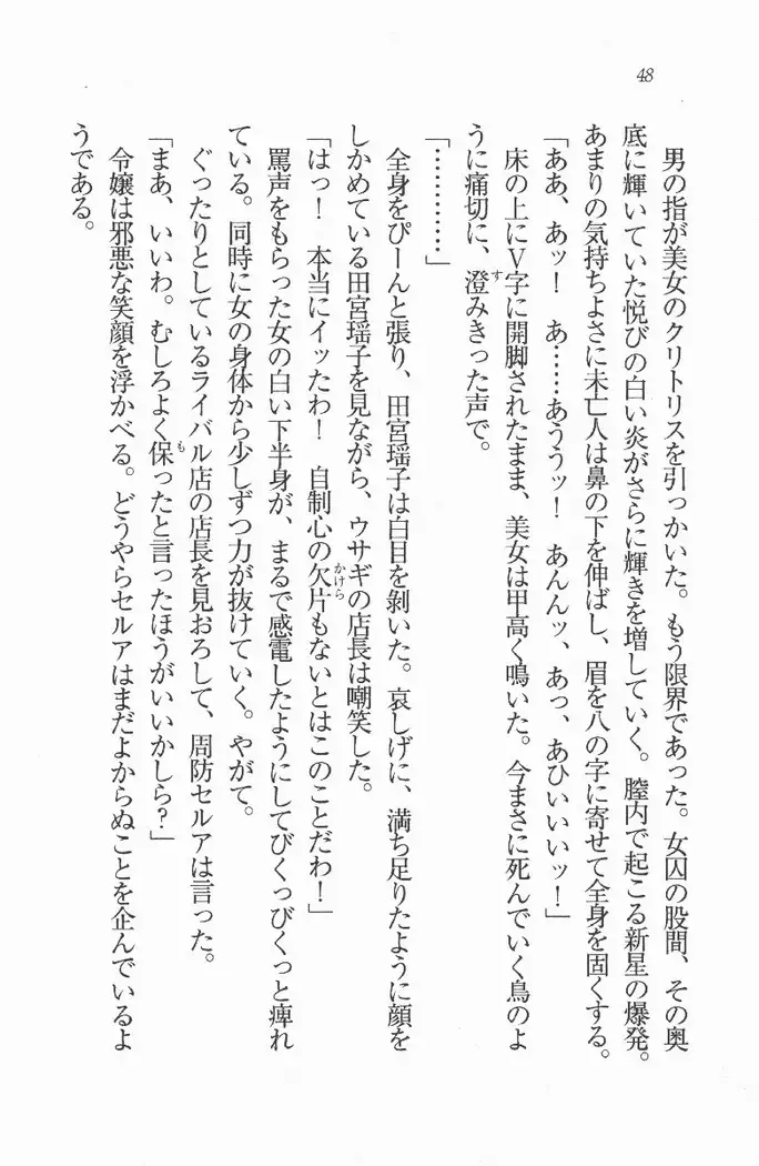 メイド喫茶 猫の隠れ家