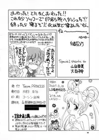 (C44) [Team PRINCESS (Ozuno Mahou)] PURI² 2 (Minky Momo)