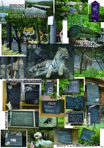 may Kemono Friends Thre Goudoushi 2