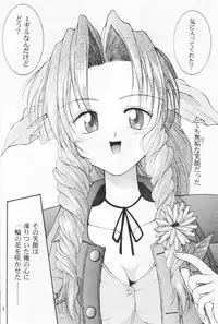 (CR27) [Hanamaru Mugen Gym (Hyoujun Mai)] Kodaishu no Musume (Final Fantasy VII)