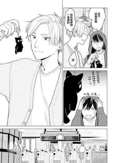 恋爱中的猫咪想被抚摸