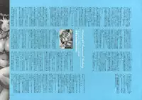 [Nishieda] Dendrobium (Decensored)