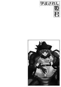 (C75) [Chococornet (Tenro Aya)] Haramasareshi Himegimi (Dragon Quest IV)