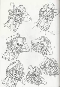 Megazone 23 Part II Doujinshi (Artland)