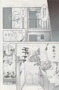 Action Pizazz 2009-06