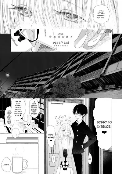 Shin Nitamonodooshi Bangaihen Chotto Mirai no Ohanashi.